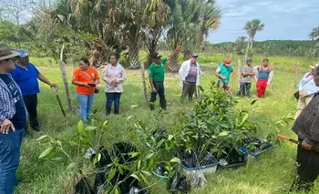 Remediación suelos contaminados: UJAT innova en Tabasco