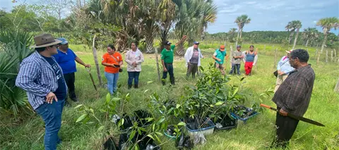 Remediación suelos contaminados: UJAT innova en Tabasco