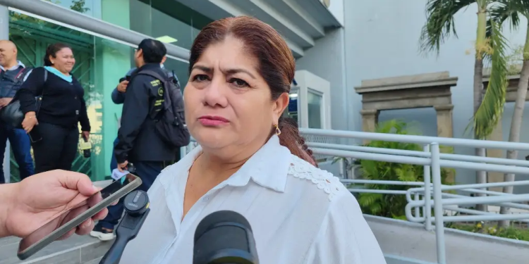 Financiamiento no es deuda: Castillo defiende proyecto