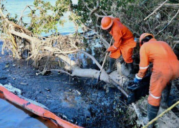 Derrame de hidrocarburos en el Golfo de México 2026