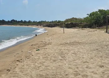 Playas Tabasco Libres Hidrocarburos: Seguras