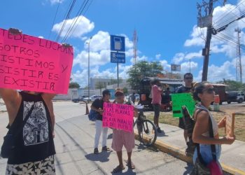 Habitantes de Tulum anuncian protesta Parque del Jaguar