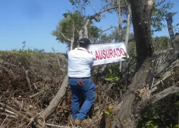 Delitos Ambientales Tabasco: 10 Carpetas en 2026