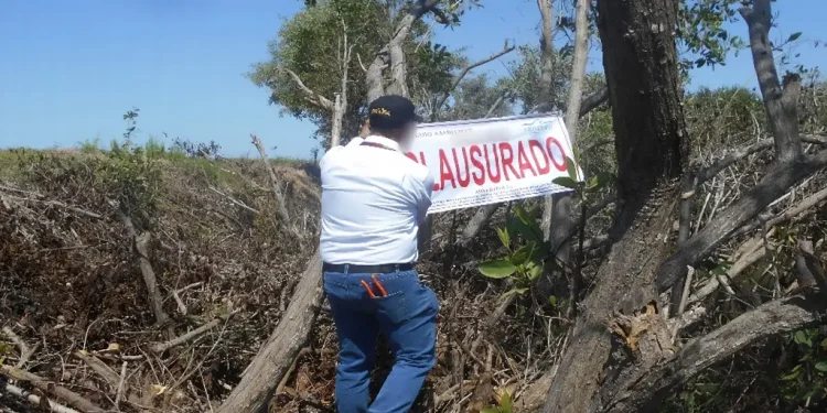 Delitos Ambientales Tabasco: 10 Carpetas en 2026