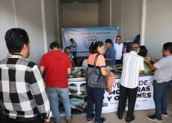Pescando Vida: Reabre Punto de Venta en Tabasco