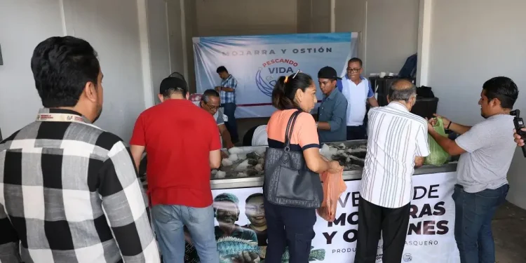 Pescando Vida: Reabre Punto de Venta en Tabasco