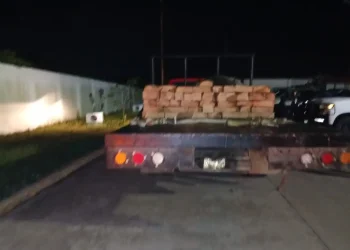 Policía de Investigación detiene transporte ilegal de madera en Jalpa de Méndez