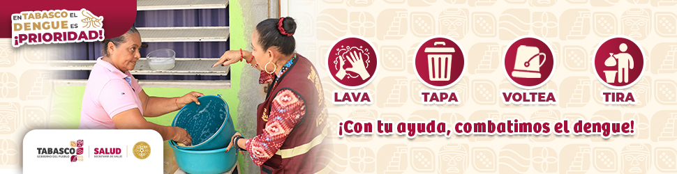 Dengue como prevenir