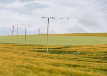 CFECapital plantea emisión de bonos en mercados