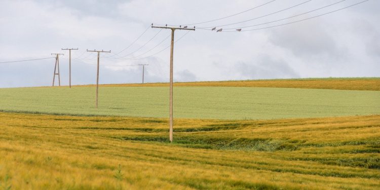 CFECapital plantea emisión de bonos en mercados