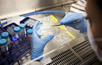 Paciente de Oslo: Décima Cura del VIH Confirmada