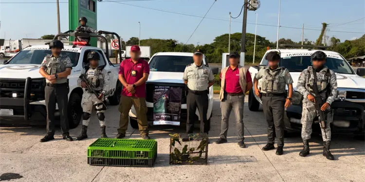 Profepa Pantanos de Centla: Rescate de Fauna Silvestre