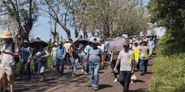 Pescadores bloquean puentes en Veracruz por apoyos