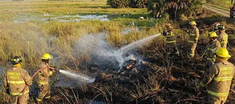 Incendio forestal Pantanos de Centla Tabasco controlado