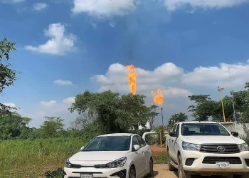 FGE Tabasco abre carpeta por perrito arrastrado en Nacajuca