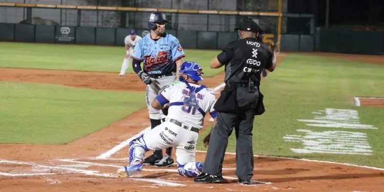 Tigres de Quintana Roo arrasan en inicio LMB 2026