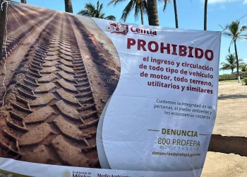 Detención vehículo playa Centla: Incautan Razer