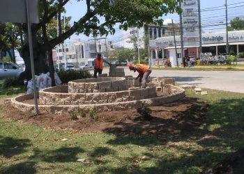 Jardineras Avenida Usumacinta: Inician Trabajos