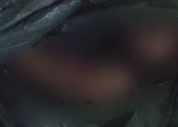 Restos Humanos Indeco: Hallazgo con Cartulina