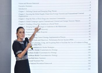 acciones contra el crimen organizado en México