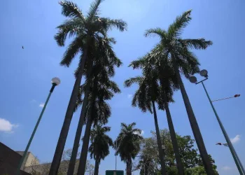 Onda de calor Tabasco mantiene temperaturas de 40-45 grados