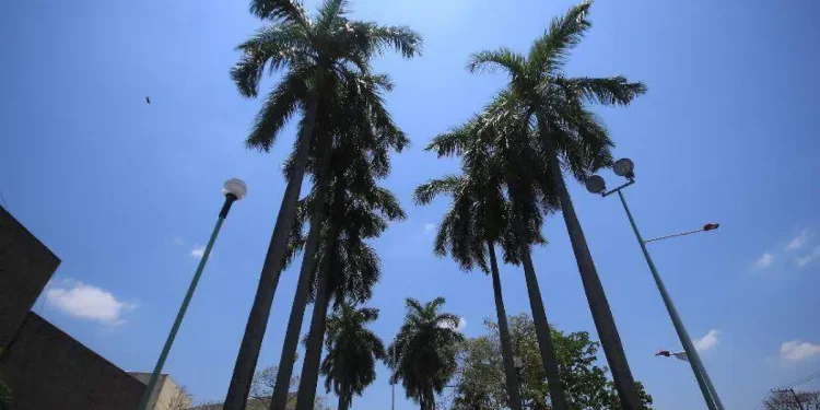 Onda de calor Tabasco mantiene temperaturas de 40-45 grados