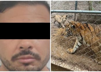 José Antonio N detenido como líder del Cártel del Noroeste