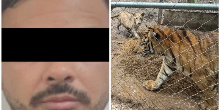 José Antonio N detenido como líder del Cártel del Noroeste