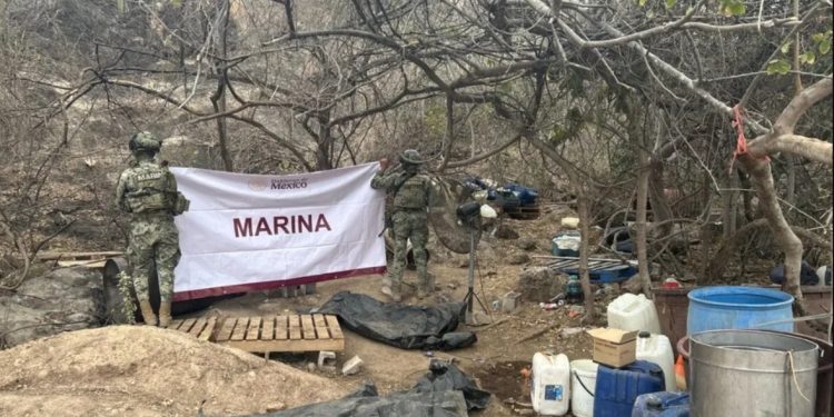 Desmantelan un laboratorio de droga en Culiacán y frustran envío a Nueva Zelanda