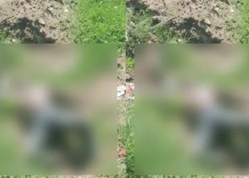 Hombre desaparecido en Centro Tabasco hallado sin vida en ranchería Corregidora Ortiz