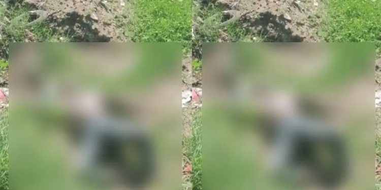 Hombre desaparecido en Centro Tabasco hallado sin vida en ranchería Corregidora Ortiz