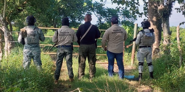 Abigeato en Tabasco