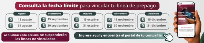 Registro de linea telefónica