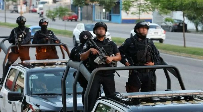 Autoridades muestran el aseguramiento de 600 kilos de marihuana durante operativos de seguridad en Tabasco.