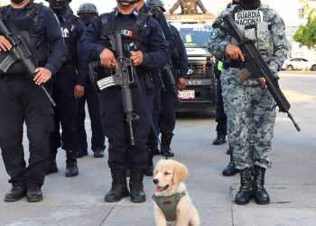 Hermes: la nueva mascota canina de la SSPC