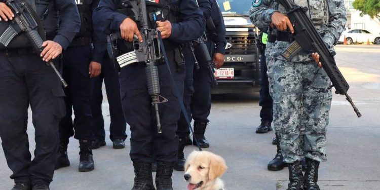 Hermes: la nueva mascota canina de la SSPC