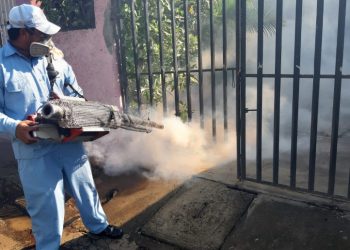 Personal de salud realiza acciones de prevención contra el mosquito transmisor del dengue en Tabasco.