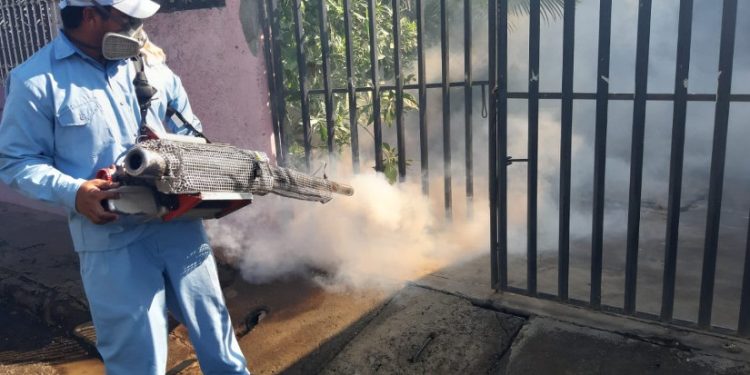 Personal de salud realiza acciones de prevención contra el mosquito transmisor del dengue en Tabasco.
