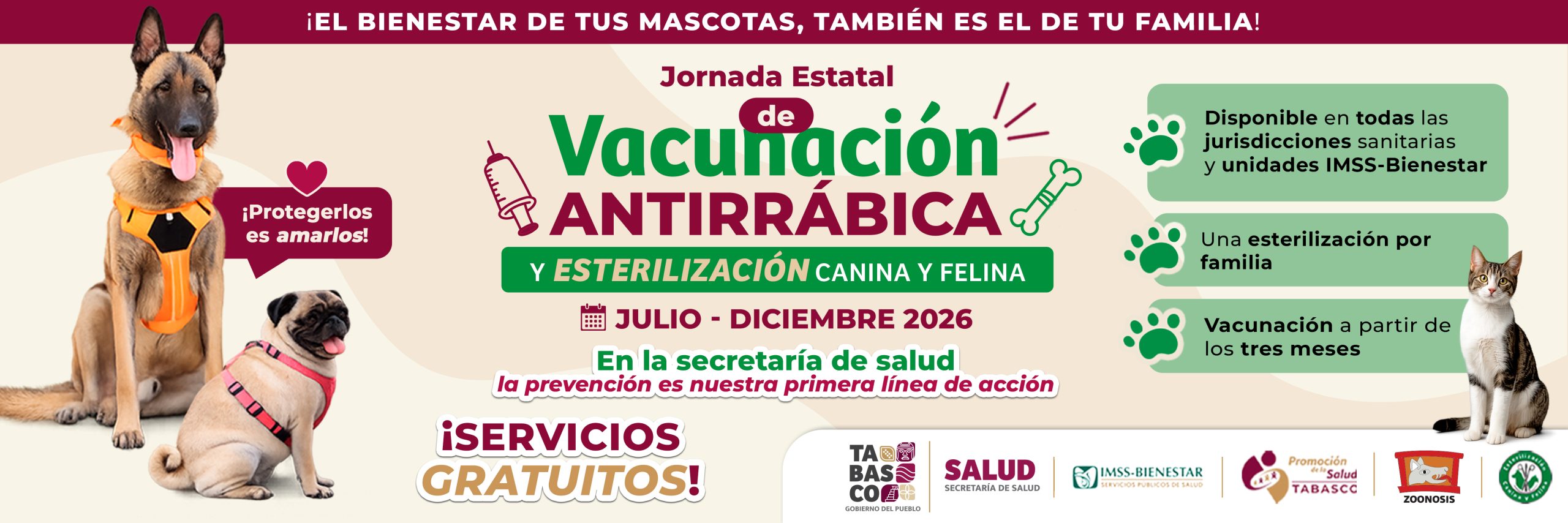 Vacunacion y esterilizacion