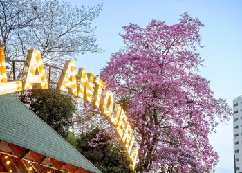 La Antojería Food Park era un “Edén Fiscal”; factureros lavaban millones