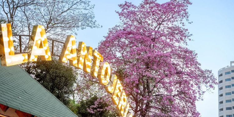 La Antojería Food Park era un “Edén Fiscal”; factureros lavaban millones