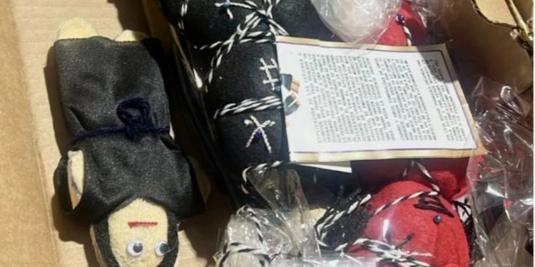 Paquetes con muñecos de peluche utilizados para ocultar semillas de cannabis aseguradas en Guadalajara.