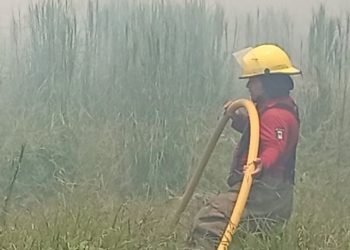 Personal de Protección Civil combate un incendio de pastizal sobre la carretera Teapa–Villahermosa.