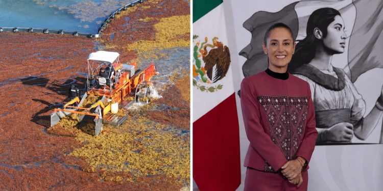 Sargazo en Quintana Roo 2026: inversión histórica y biogás