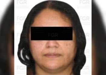 detencion-guadalupe-hernandez-ingemar.webp